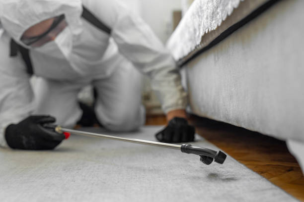 Professional Bed Bug Control technician working in Camden, AL