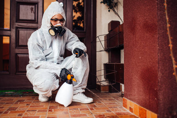 Reliable Bed Bug Control contractor in Camden, AL by Nex Pest Control