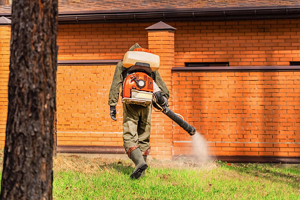 Trusted Cockroach Control service in Camden, AL - Nex Pest Control